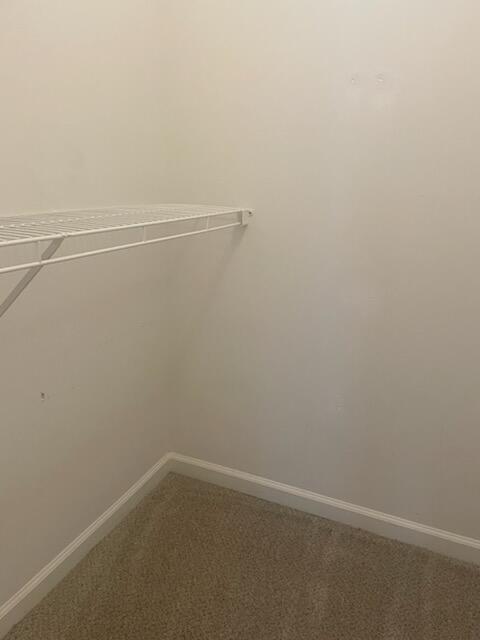 1145 Bison Way Grovetown, GA 30813 - Photo 19 of 19 IMG_3647 (1)