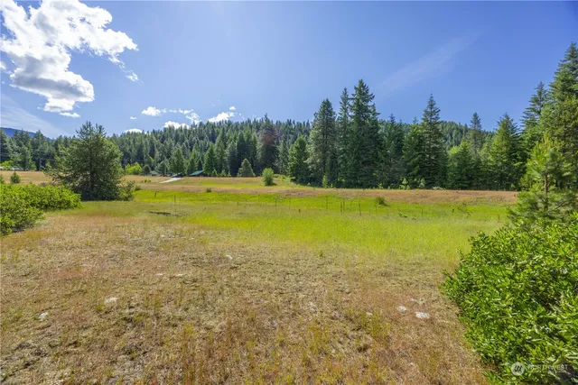 a view of outdoor space and yard