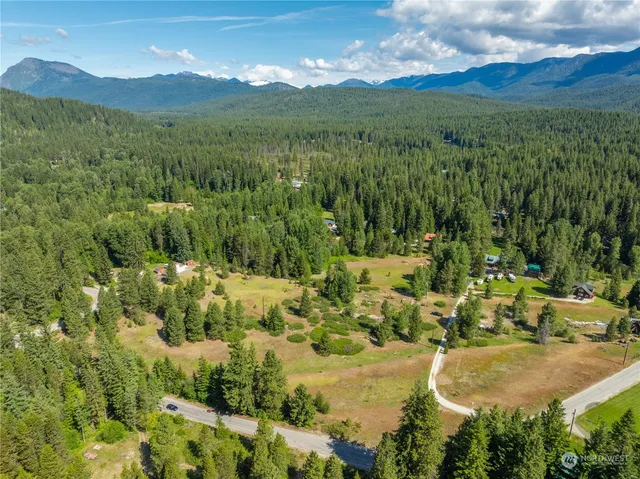a view of a yard with plants