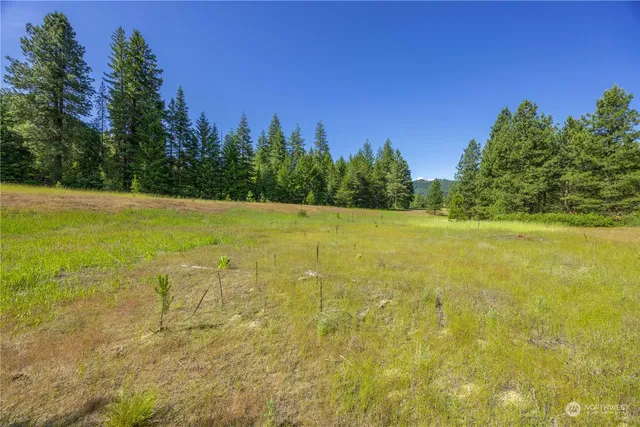 a view of yard with trees in the background