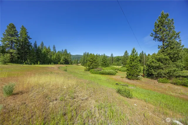 a view of a field with an ocean