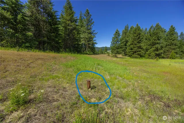 a view of a house with a big yard