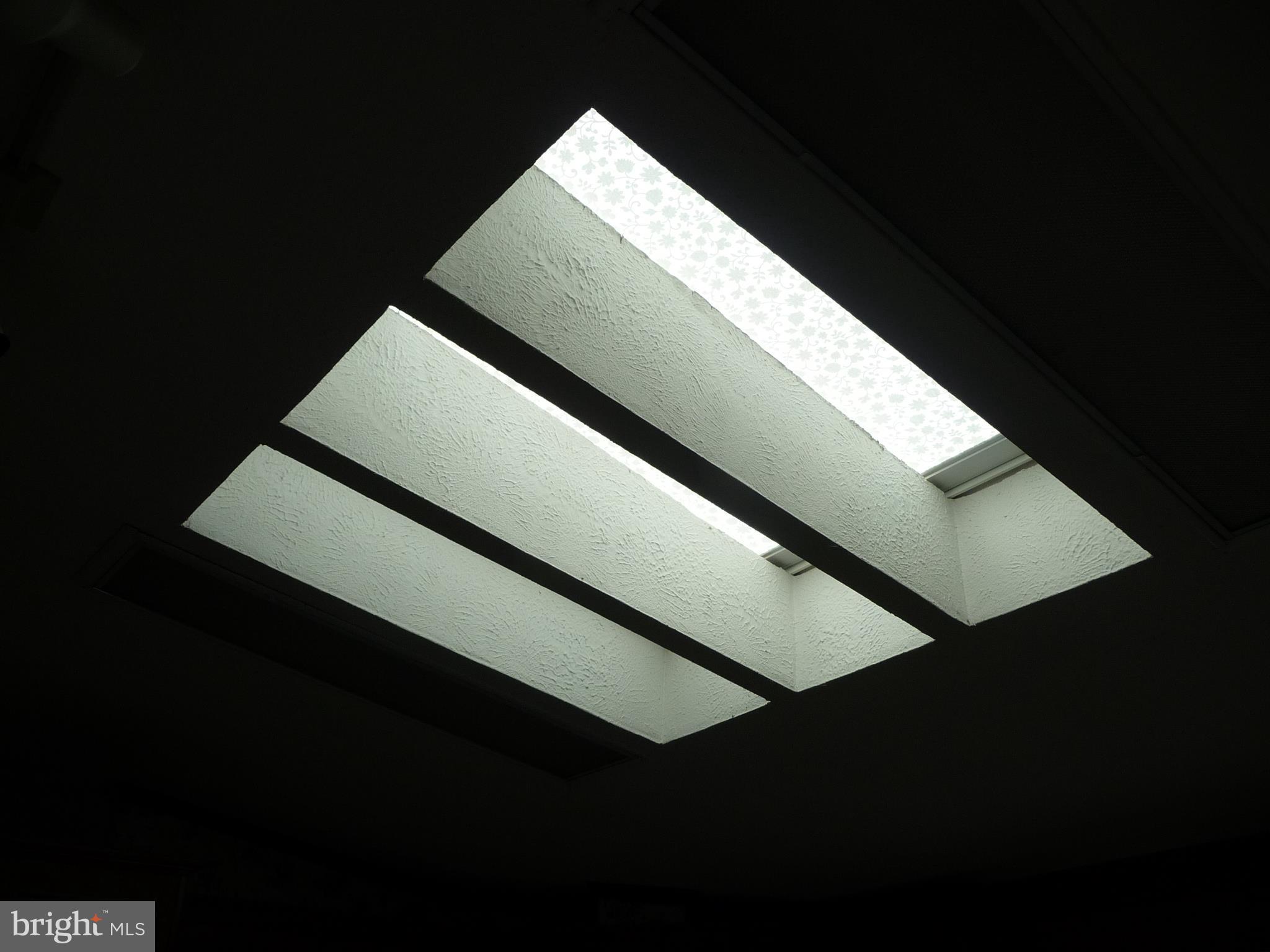 308 Ridge Road, Unit CEDAR Elizabethtown, PA 17022 - Photo 19 of 54 Kitchen Skylight