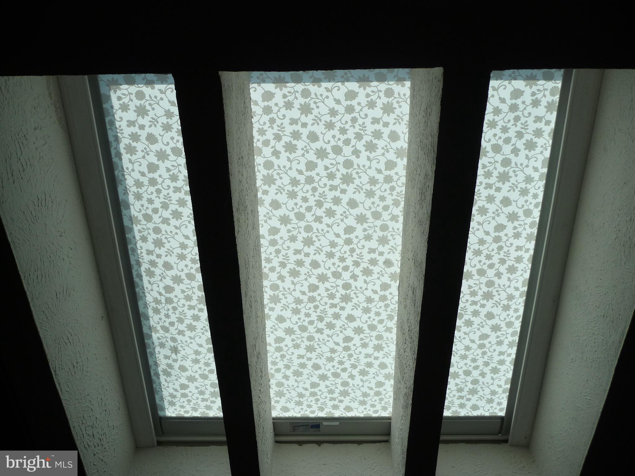 308 Ridge Road, Unit CEDAR Elizabethtown, PA 17022 - Photo 20 of 54 Kitchen Skylight With Remote Shade