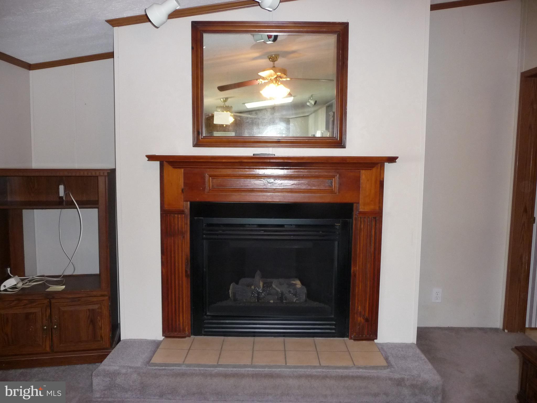 308 Ridge Road, Unit CEDAR Elizabethtown, PA 17022 - Photo 24 of 54 Gas Fireplace in Family Rm