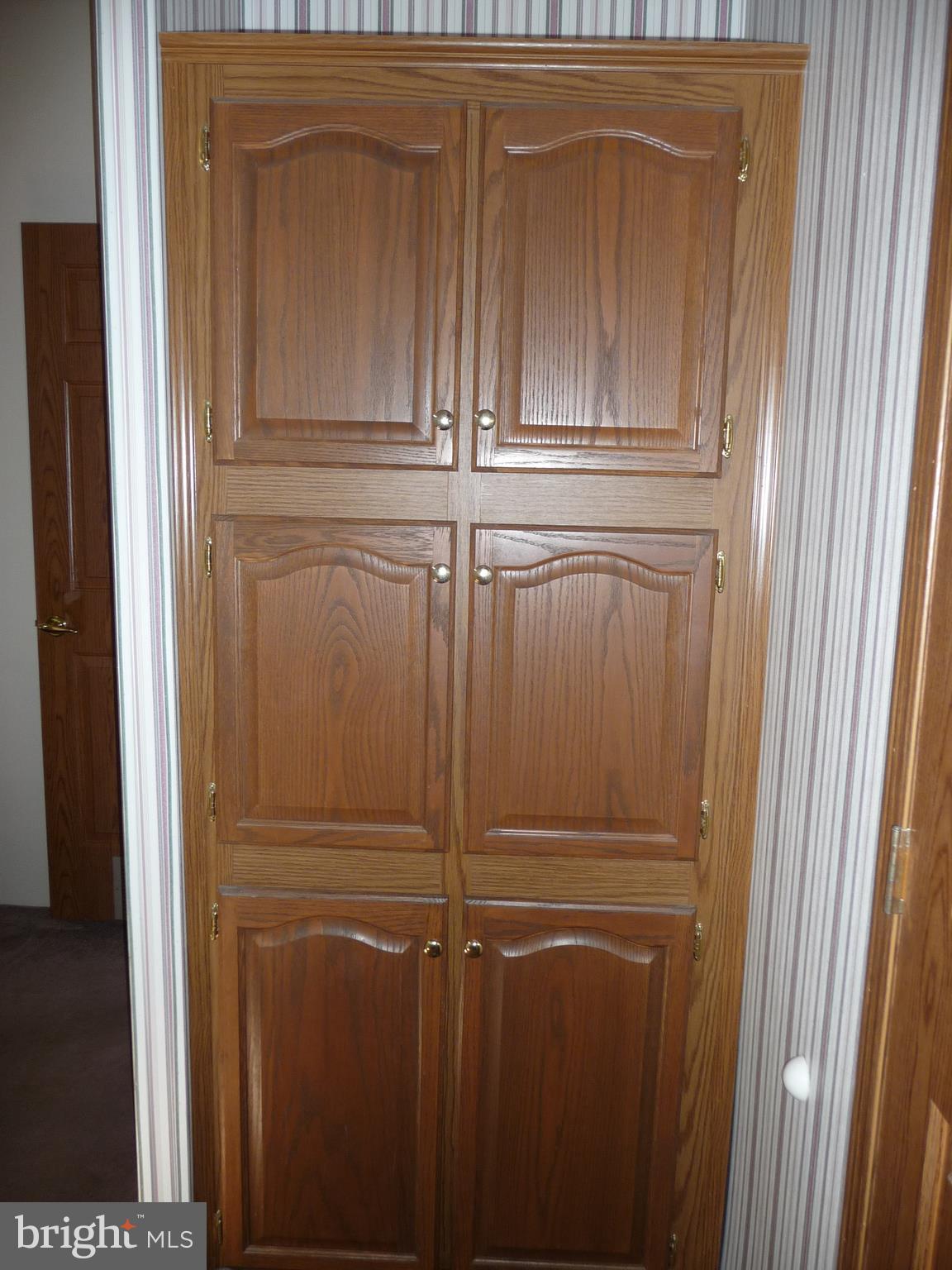 308 Ridge Road, Unit CEDAR Elizabethtown, PA 17022 - Photo 33 of 54 Additional Storage in Master Bath