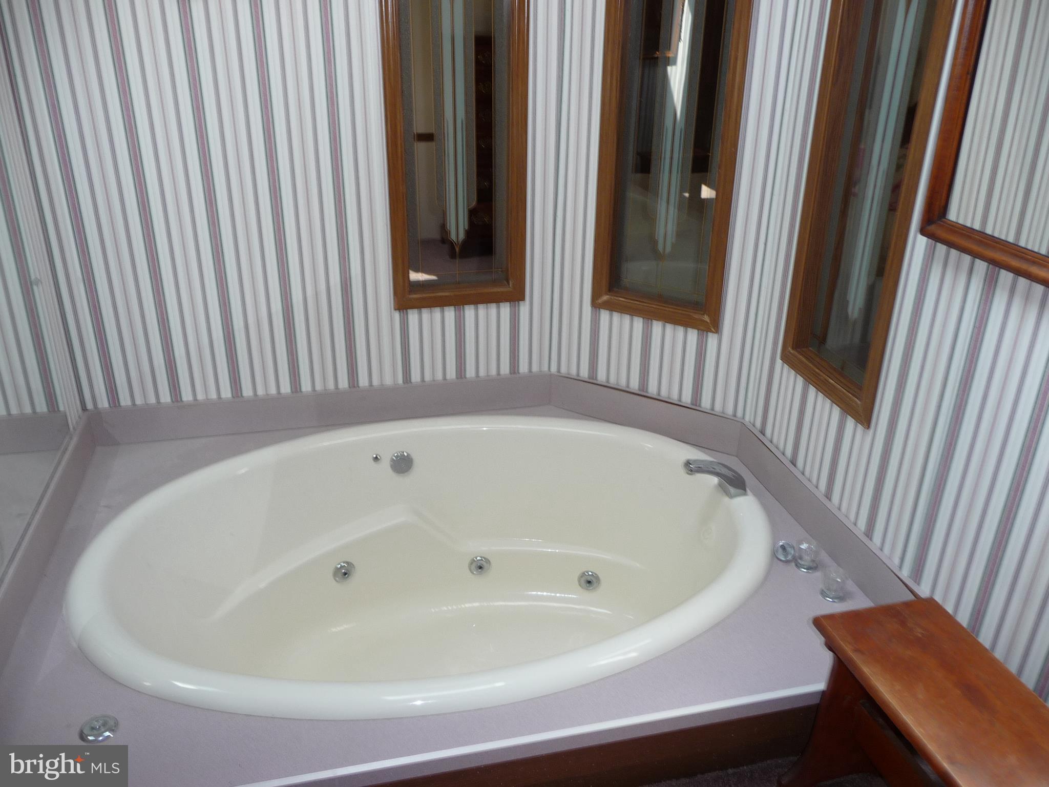 308 Ridge Road, Unit CEDAR Elizabethtown, PA 17022 - Photo 35 of 54 Master Bath Jet Tub