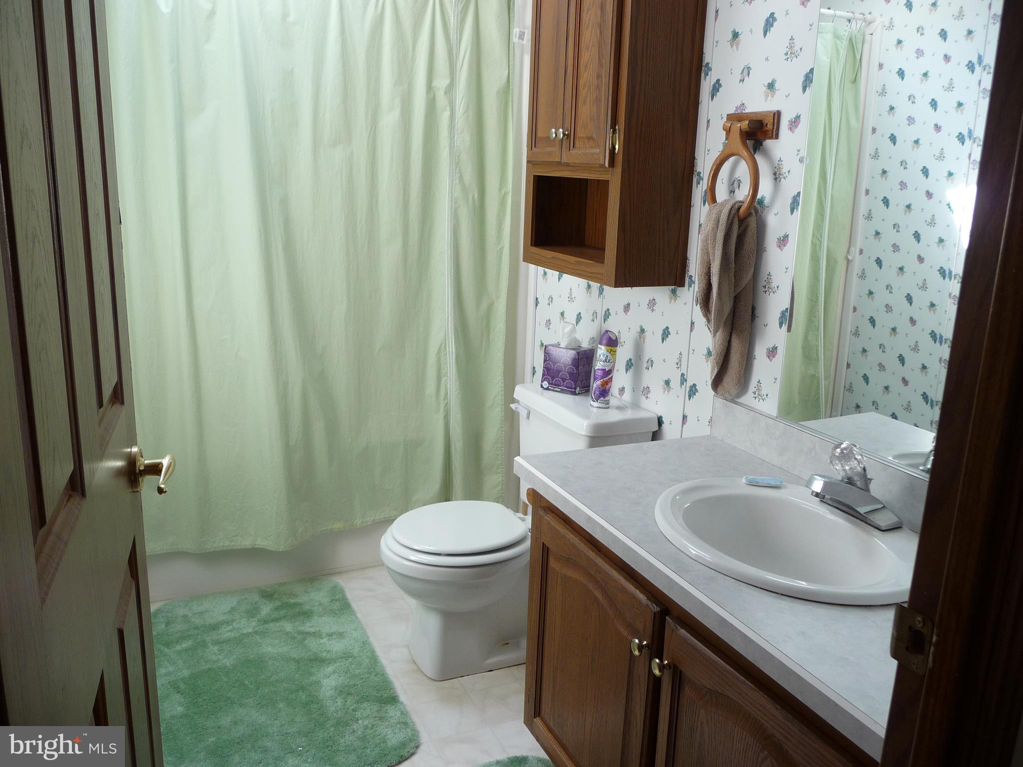 308 Ridge Road, Unit CEDAR Elizabethtown, PA 17022 - Photo 40 of 54 Hall bath