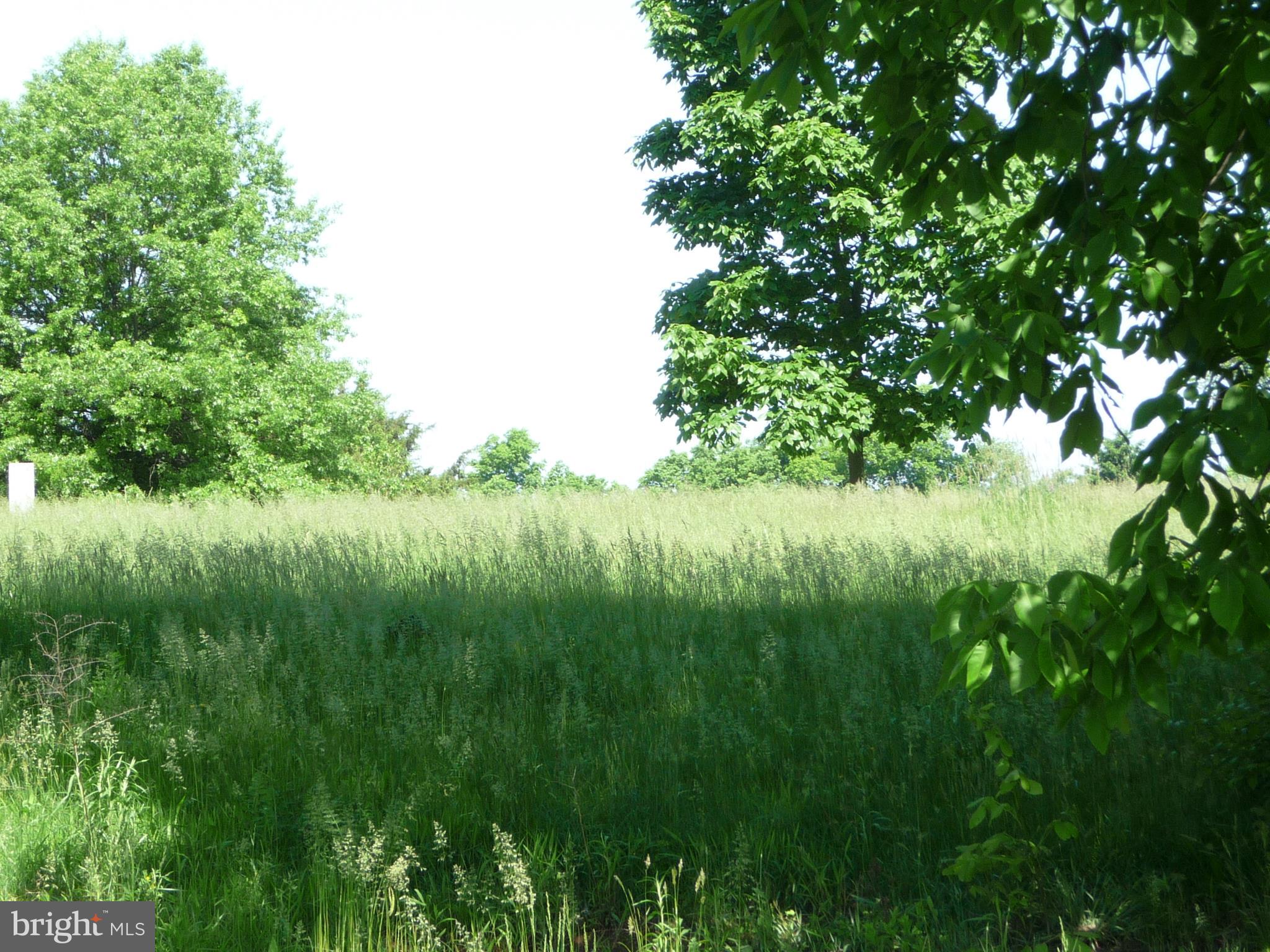 308 Ridge Road, Unit CEDAR Elizabethtown, PA 17022 - Photo 47 of 54 View from Covered Porch