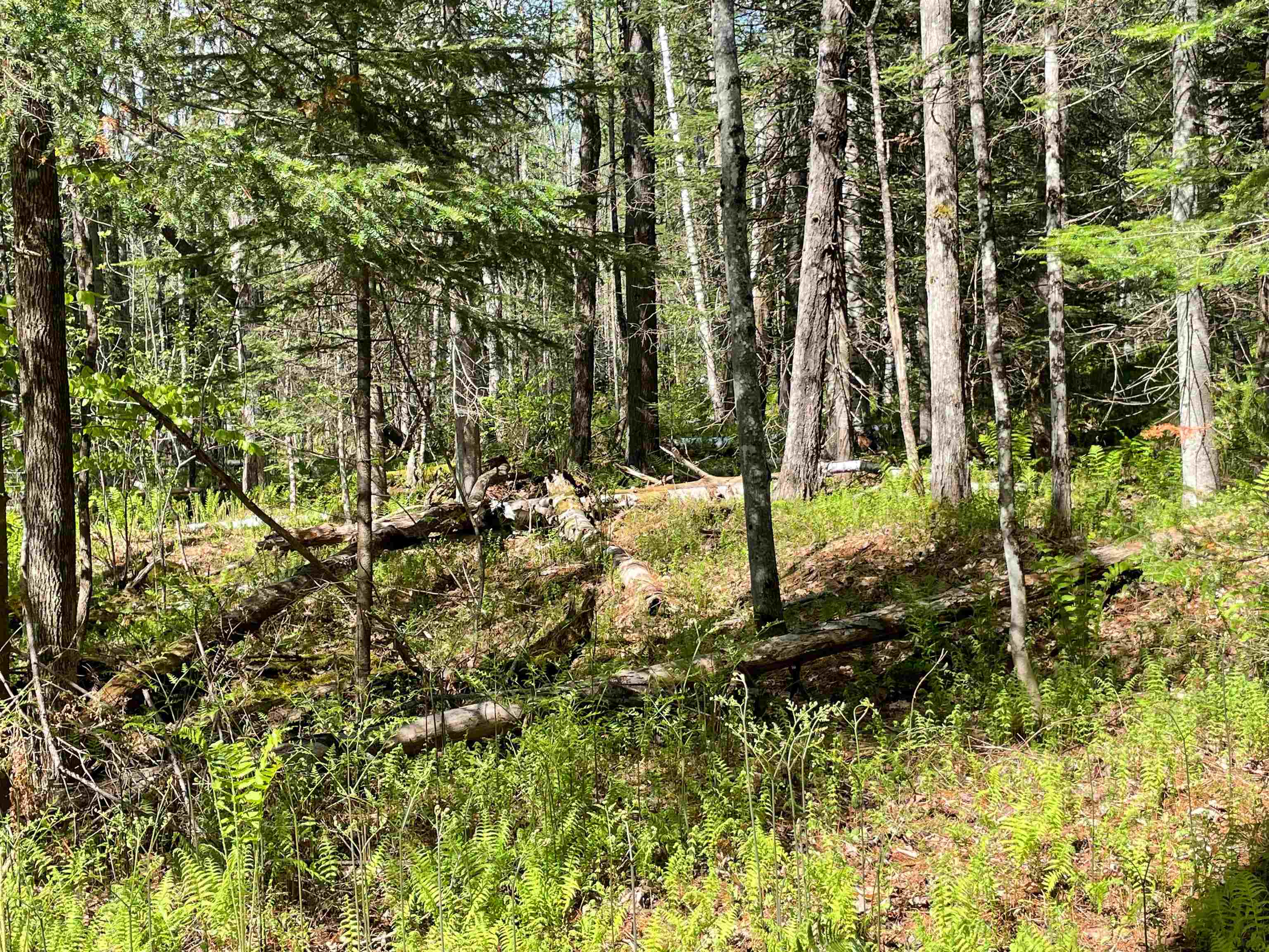 39 Parker Road Bethlehem, NH 03574 - Photo 13 of 27