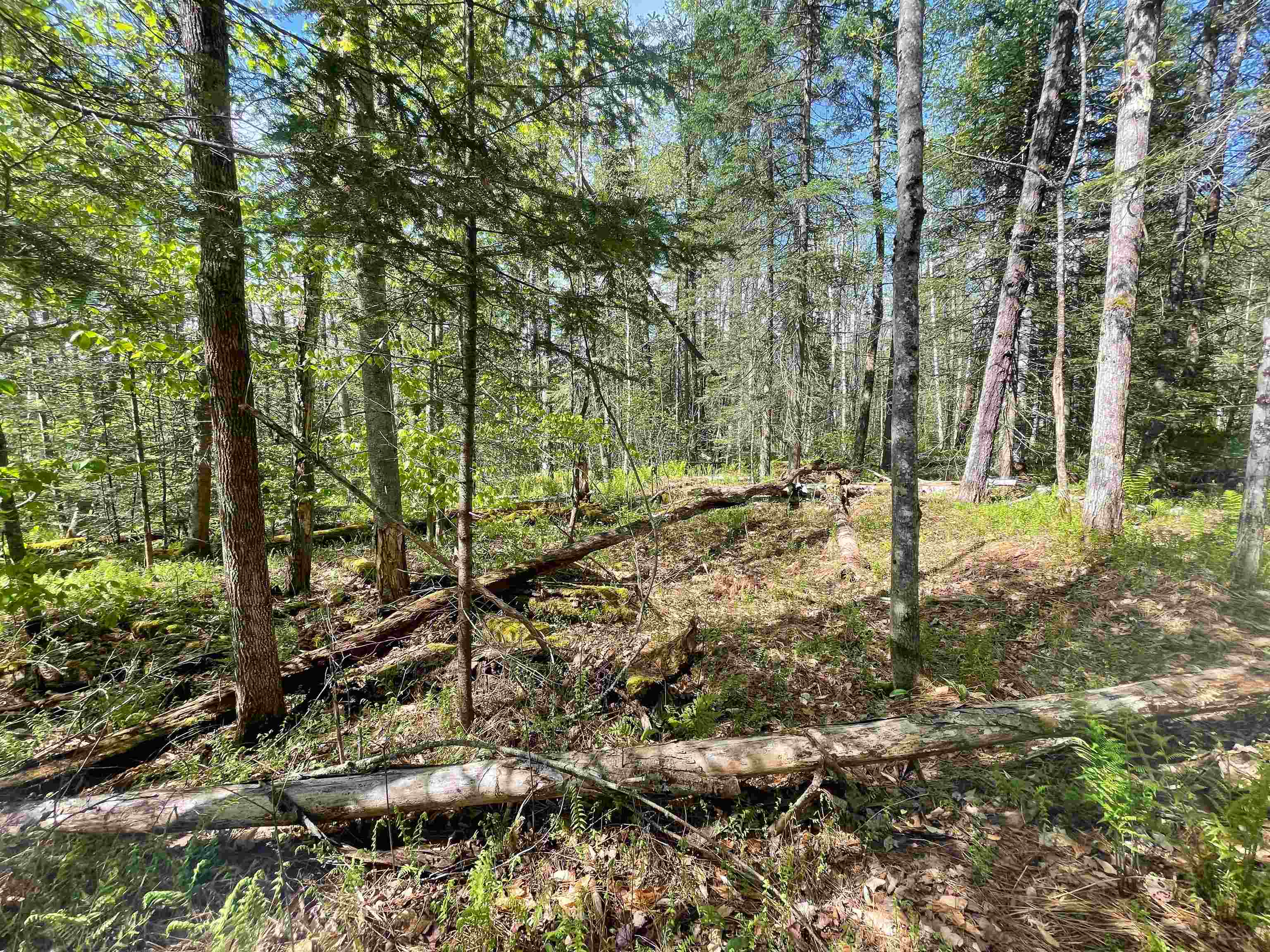 39 Parker Road Bethlehem, NH 03574 - Photo 16 of 27