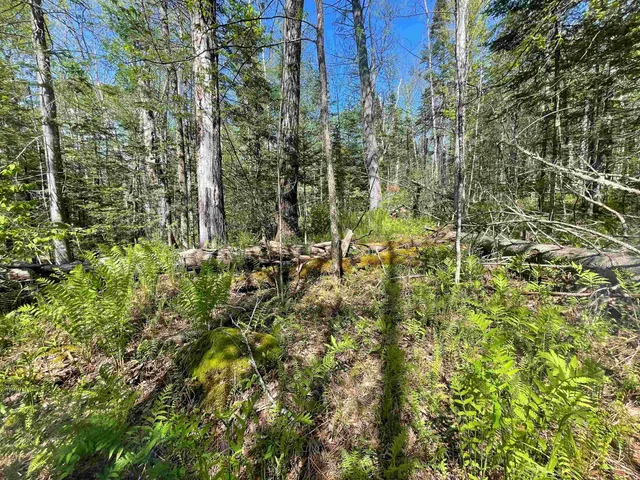 $79,900 | 39 Parker Road, Bethlehem, NH 03574