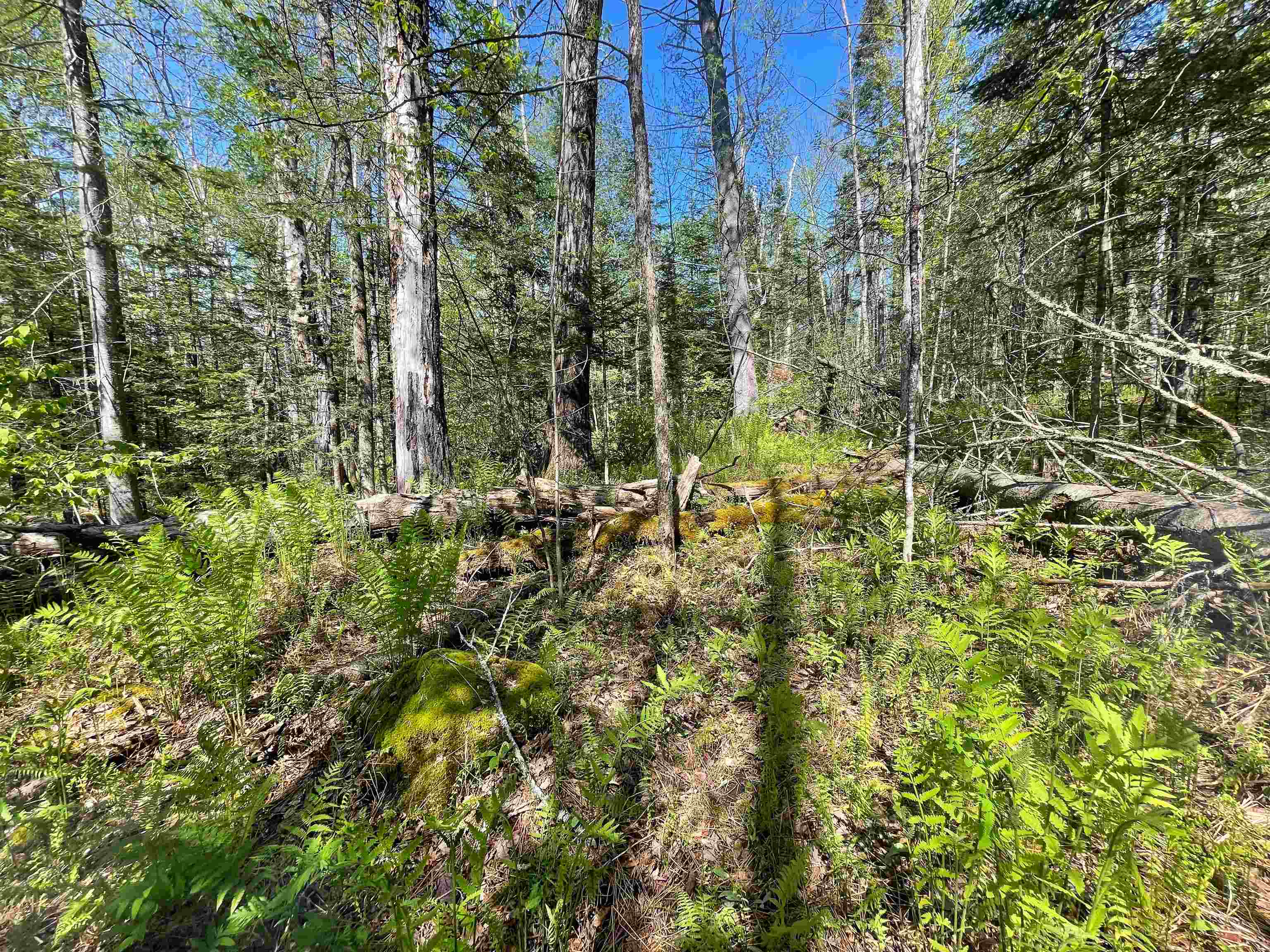 39 Parker Road Bethlehem, NH 03574 - Photo 17 of 27