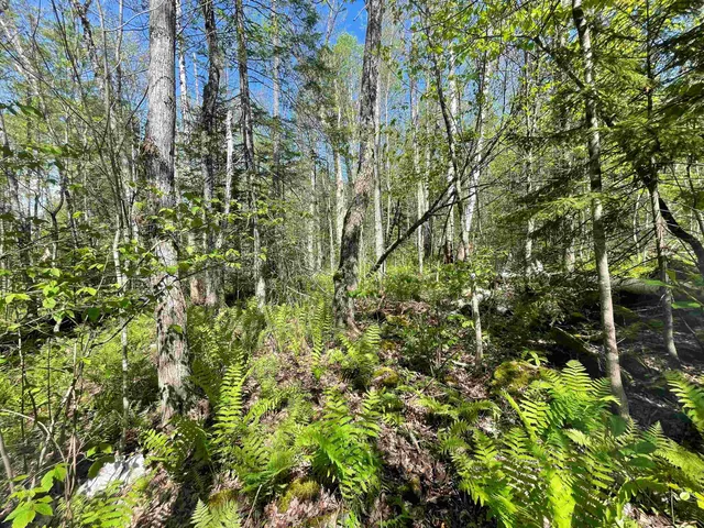 $79,900 | 39 Parker Road, Bethlehem, NH 03574