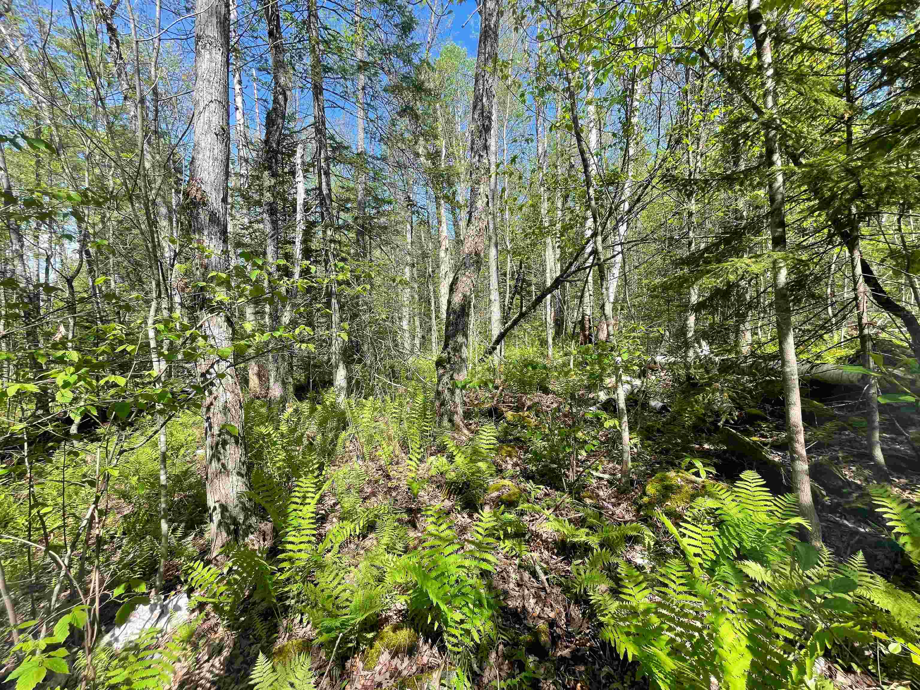 39 Parker Road Bethlehem, NH 03574 - Photo 18 of 27