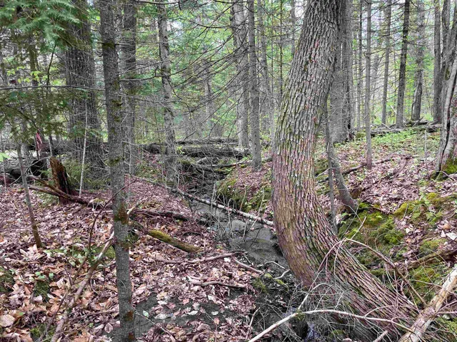 $79,900 | 39 Parker Road, Bethlehem, NH 03574