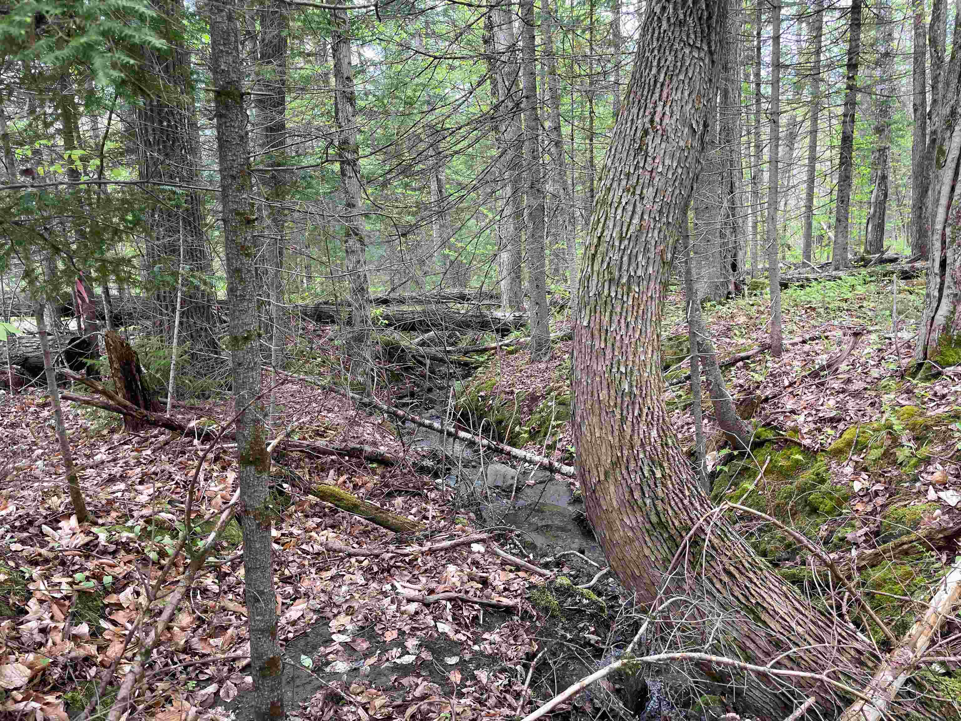 39 Parker Road Bethlehem, NH 03574 - Photo 20 of 27