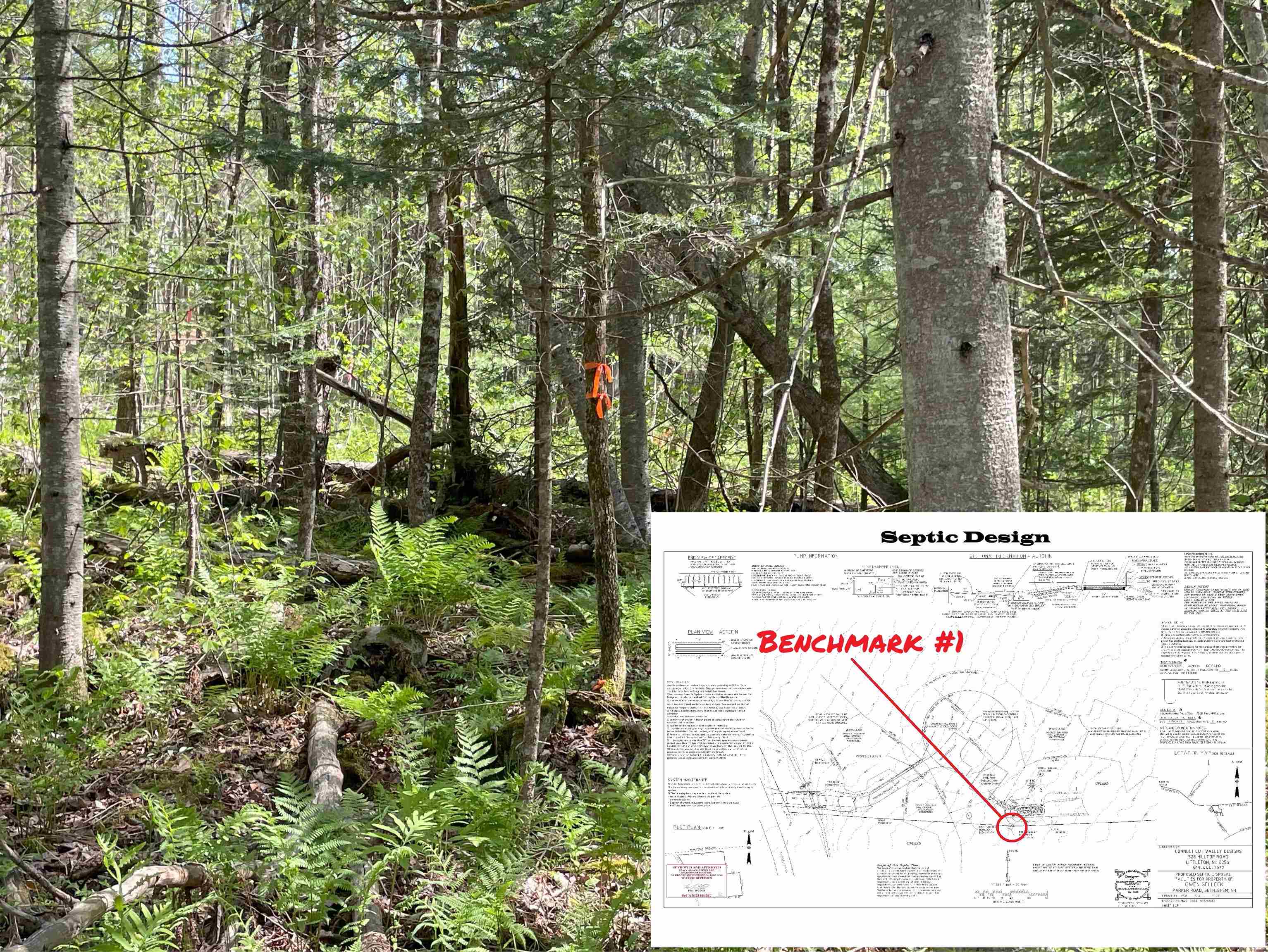 39 Parker Road Bethlehem, NH 03574 - Photo 23 of 27