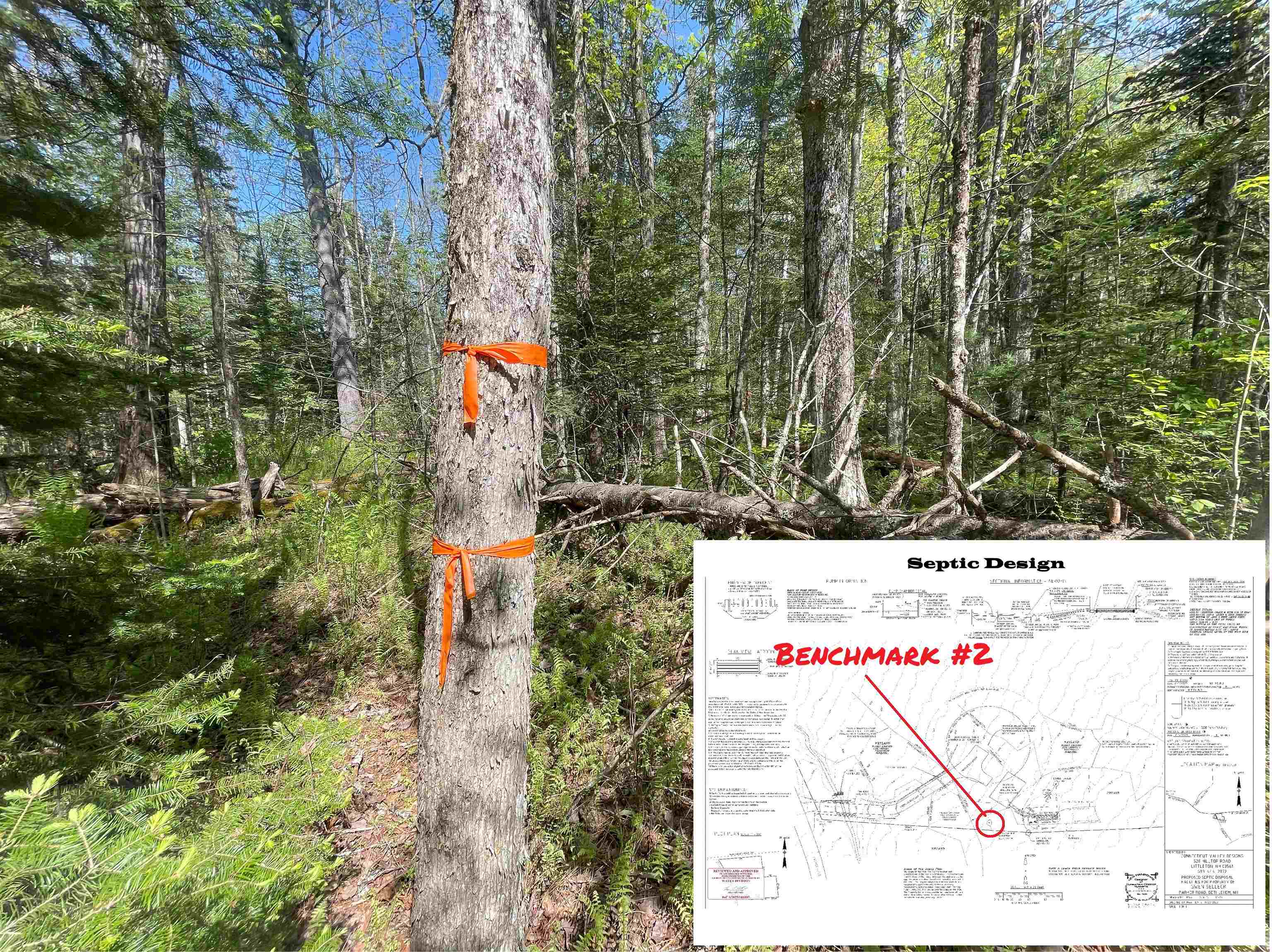 39 Parker Road Bethlehem, NH 03574 - Photo 24 of 27