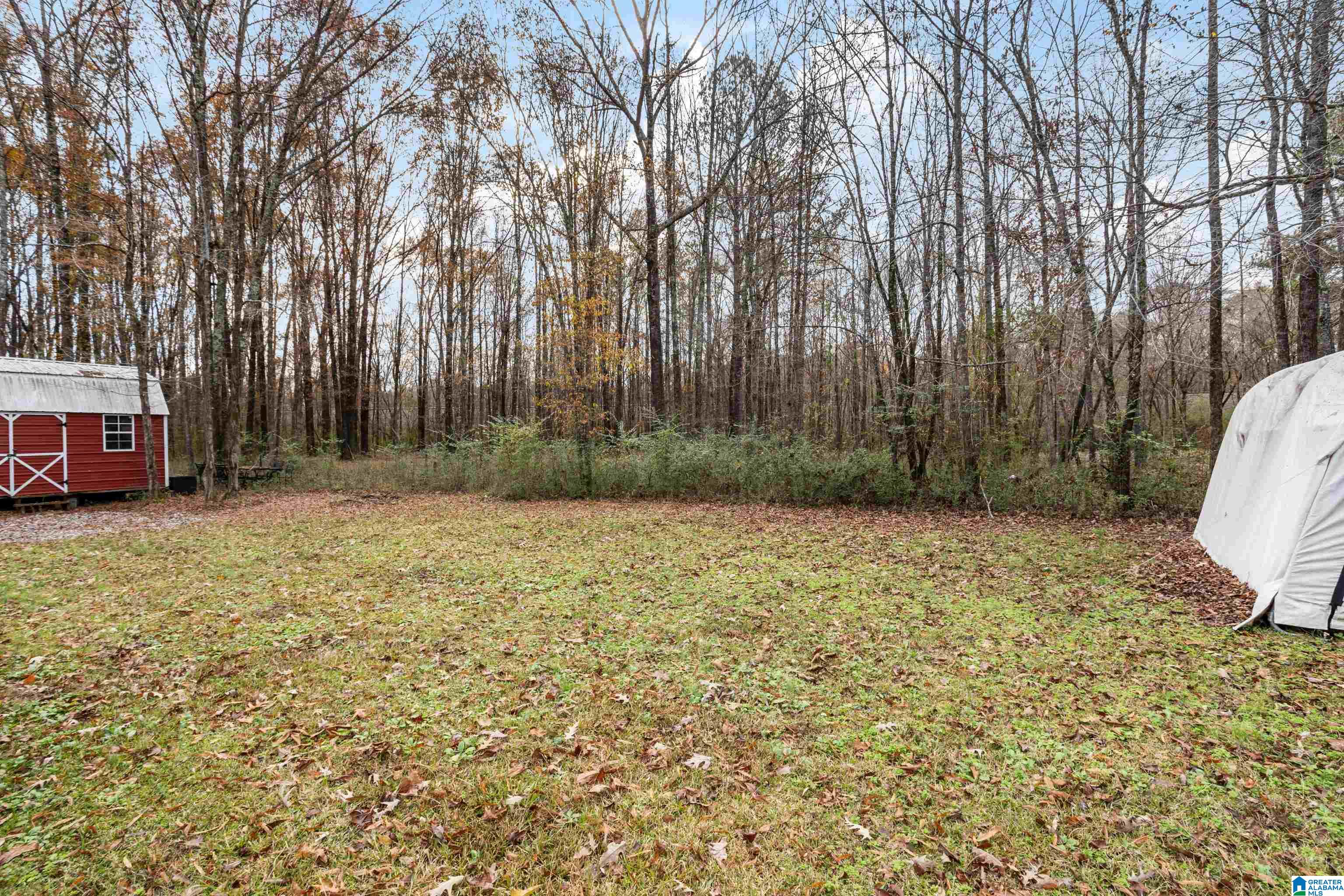 3334 Butler Road Jasper, AL 35501 - Photo 34 of 42