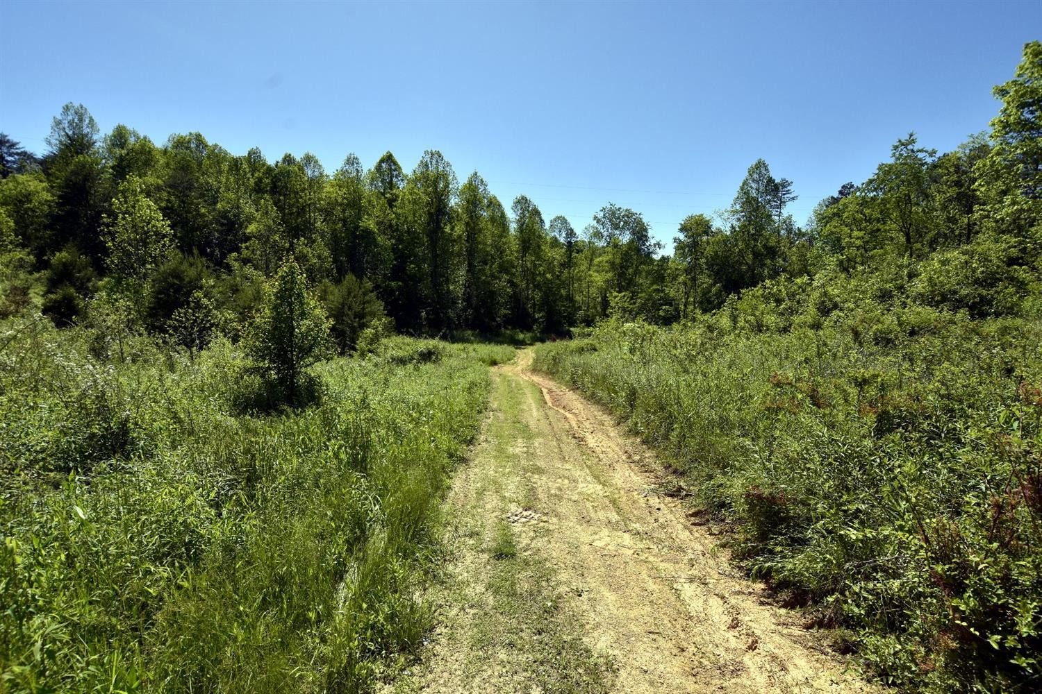 1 Macedonia Road Irvine, KY 40336 - Photo 1 of 10 Surveyed access road to your private saf