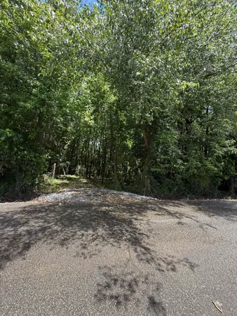 a view of a yard with a trees