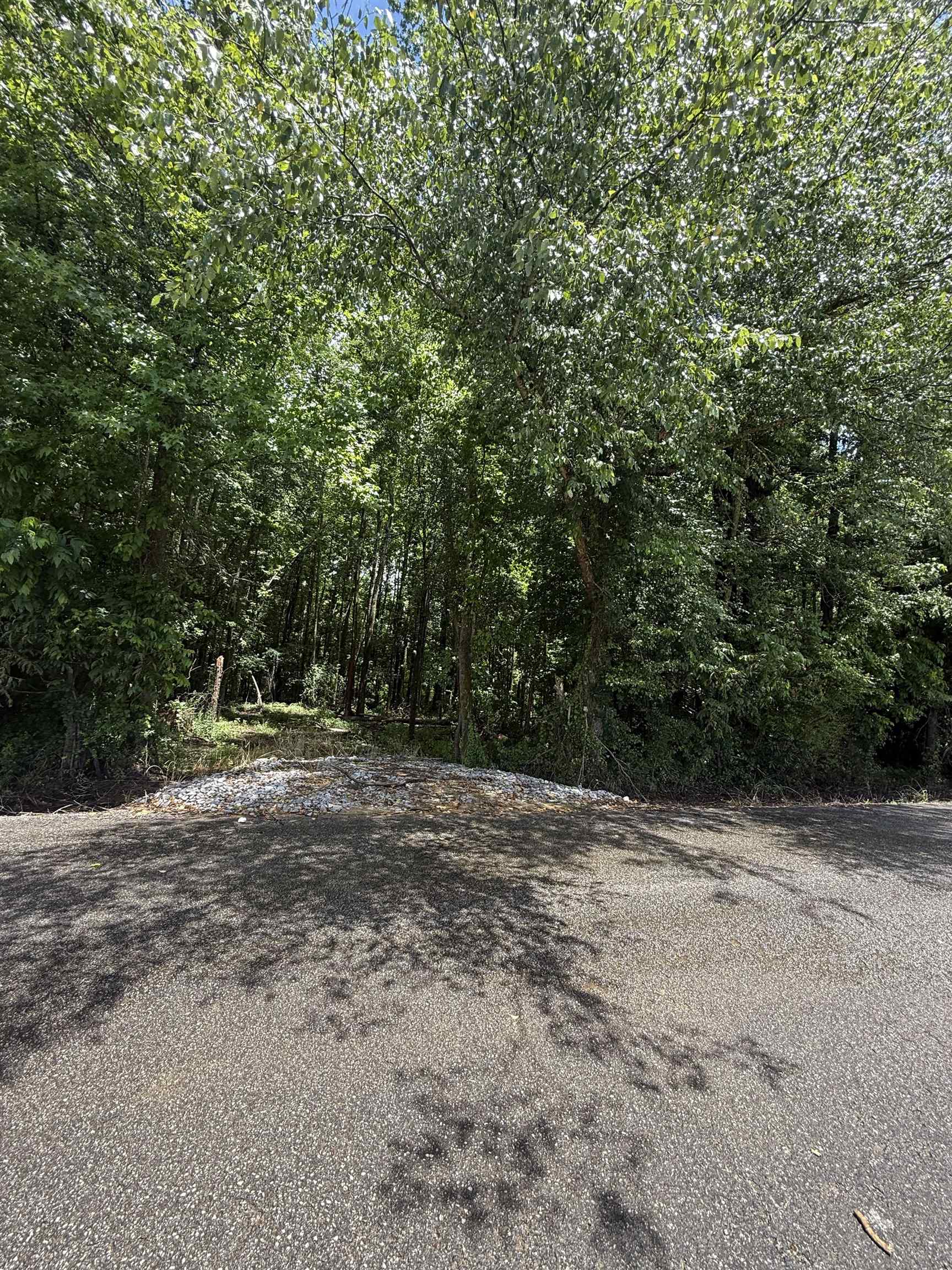 0 Hays Road Moscow, TN 38057 - Photo 1 of 5 a view of a yard with a trees