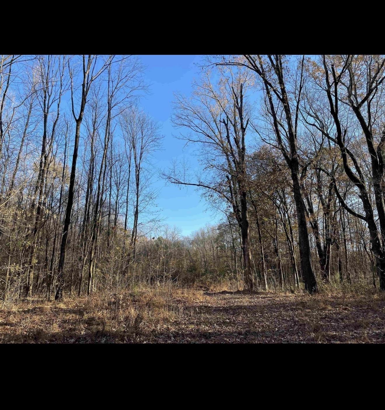 0 Hays Road Moscow, TN 38057 - Photo 3 of 5