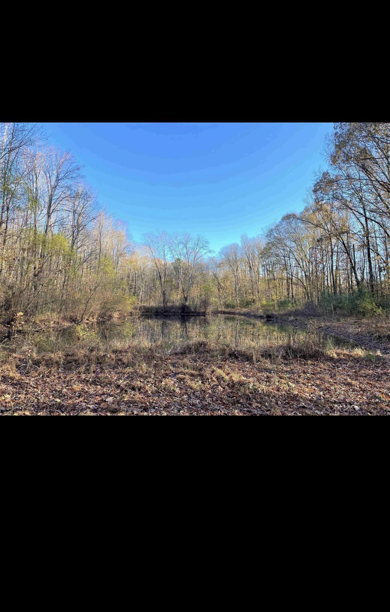 0 Hays Road Moscow, TN 38057 - Photo 4 of 5 a view of lake view and mountain view