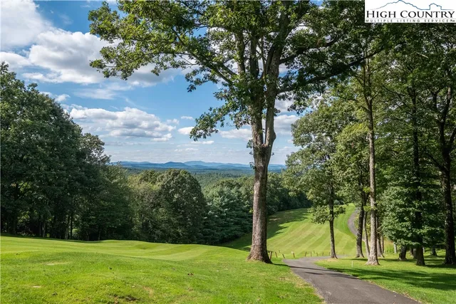 a view of a field with a tree