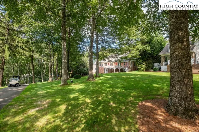 a view of a trees with a yard