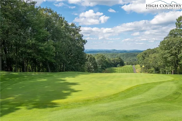 a view of a big yard with lawn chairs and large trees