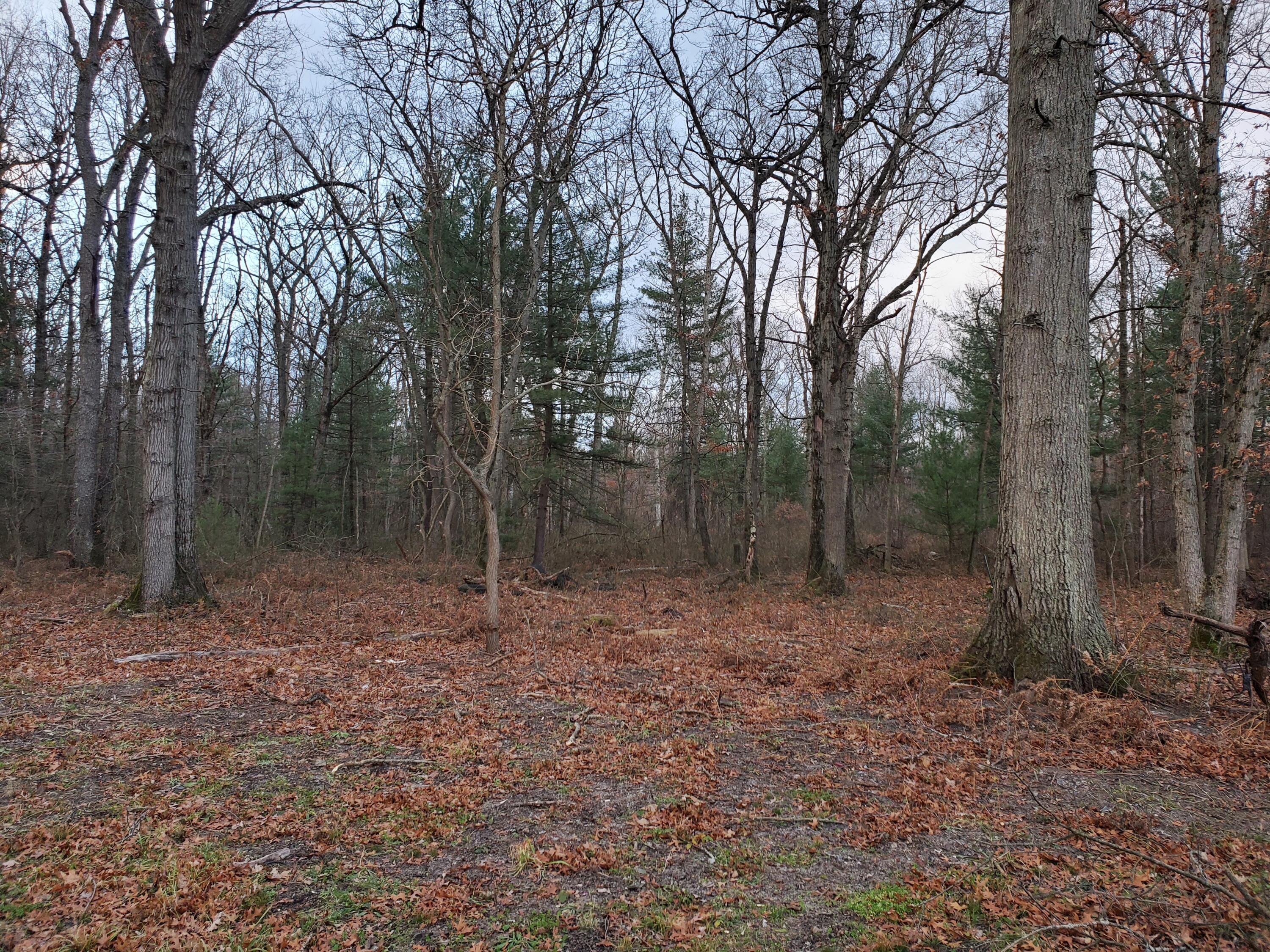780 South Brks Road Muskegon, MI 49442 - Photo 5 of 7 20211219_163543