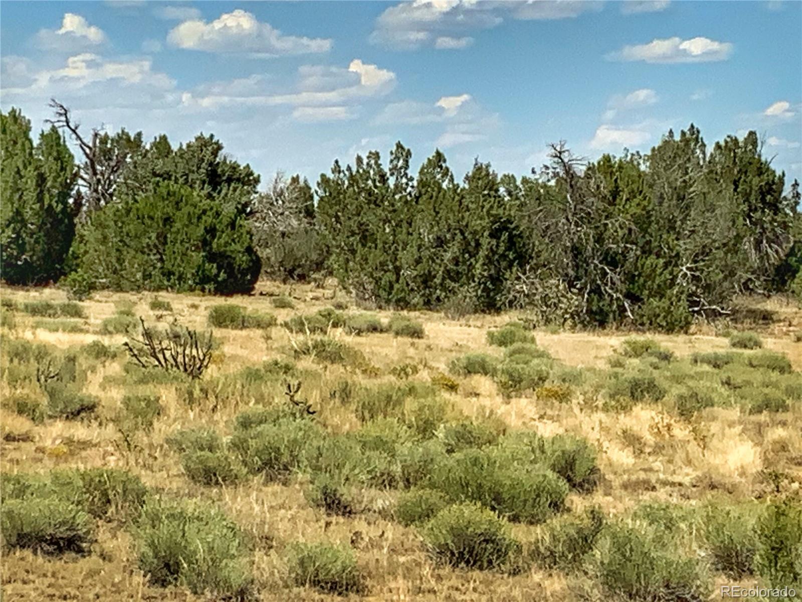 Turkey Ridge East Walsenburg, CO 81089 - Photo 2 of 10