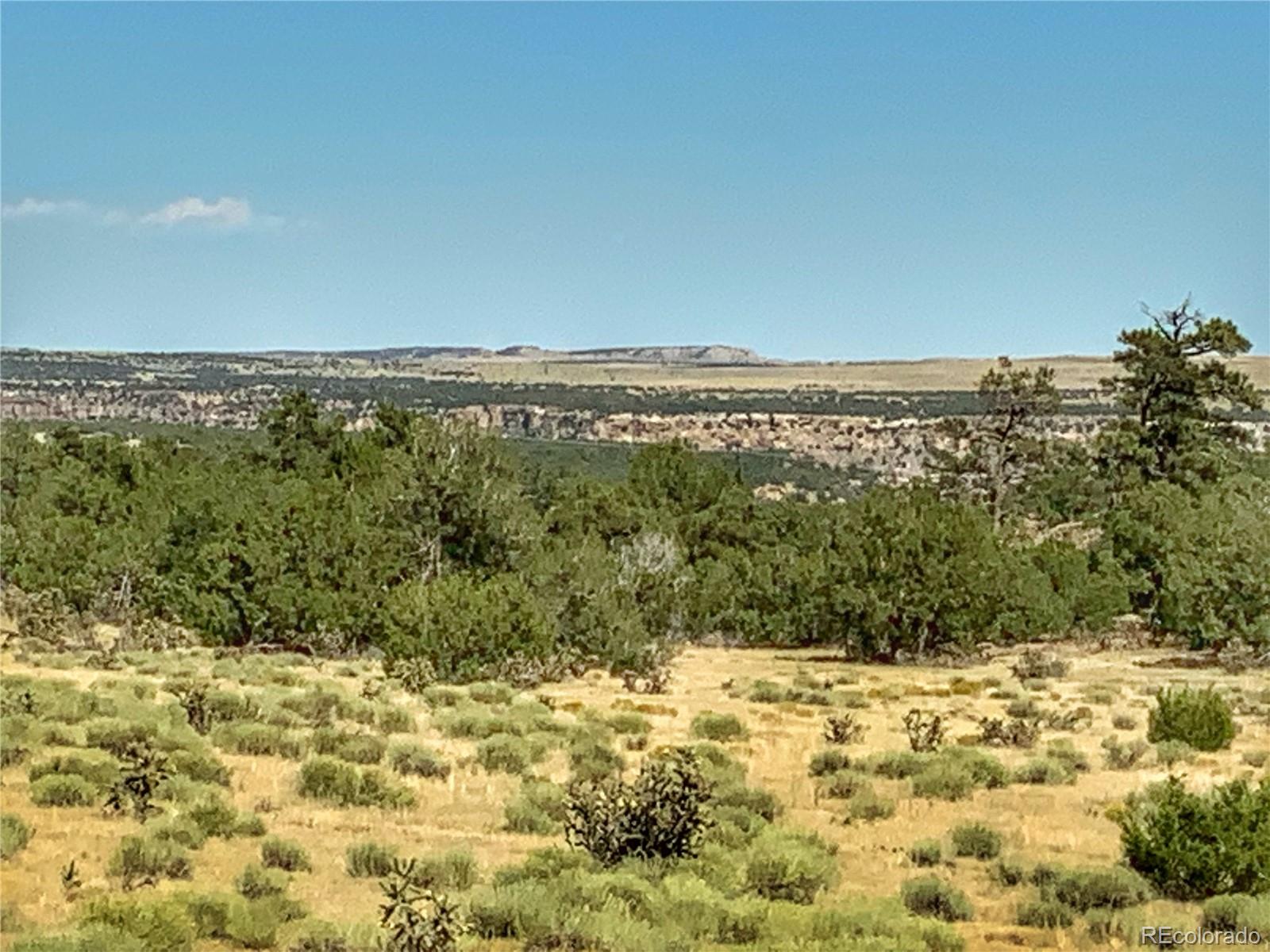 Turkey Ridge East Walsenburg, CO 81089 - Photo 3 of 10