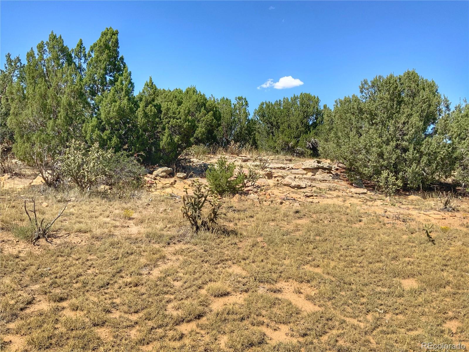 Turkey Ridge East Walsenburg, CO 81089 - Photo 4 of 10