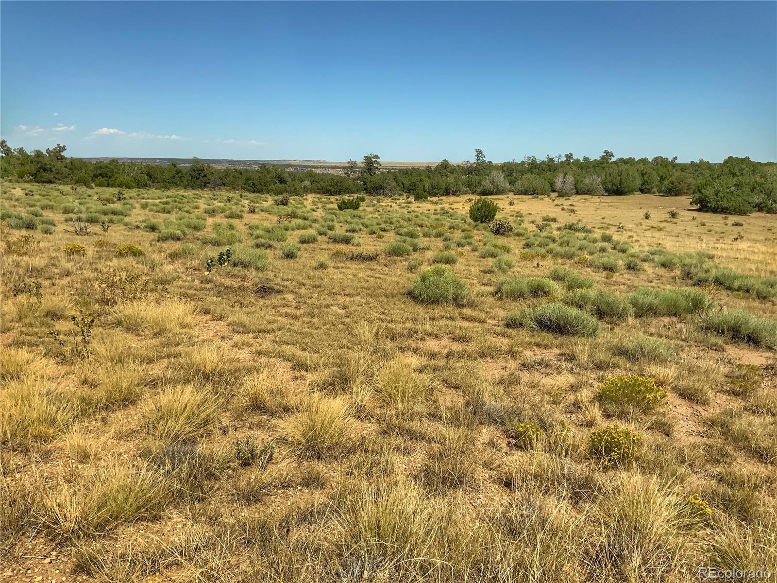Turkey Ridge East Walsenburg, CO 81089 - Photo 6 of 10