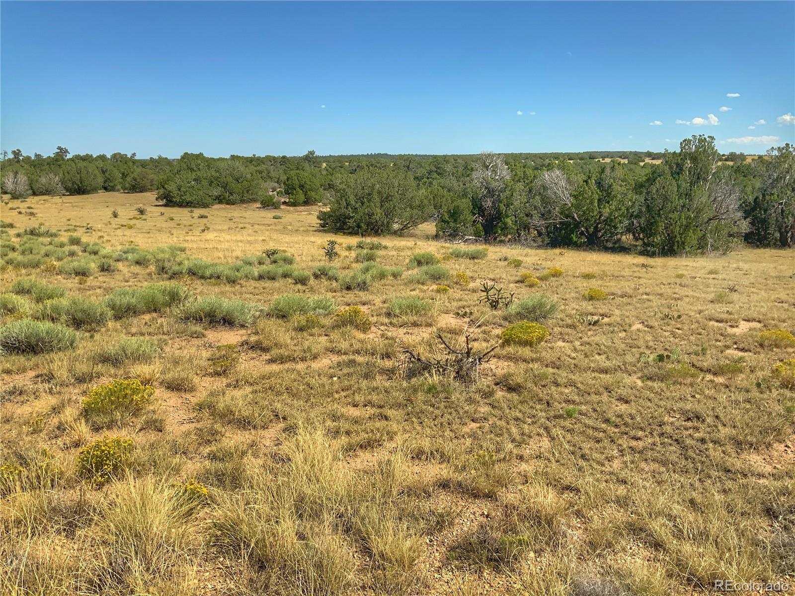 Turkey Ridge East Walsenburg, CO 81089 - Photo 7 of 10