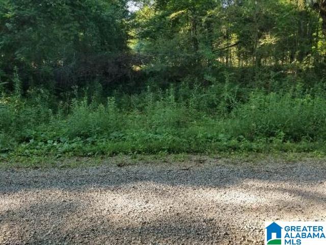 270 Oxford Road Lincoln, AL 35096 - Photo 12 of 21