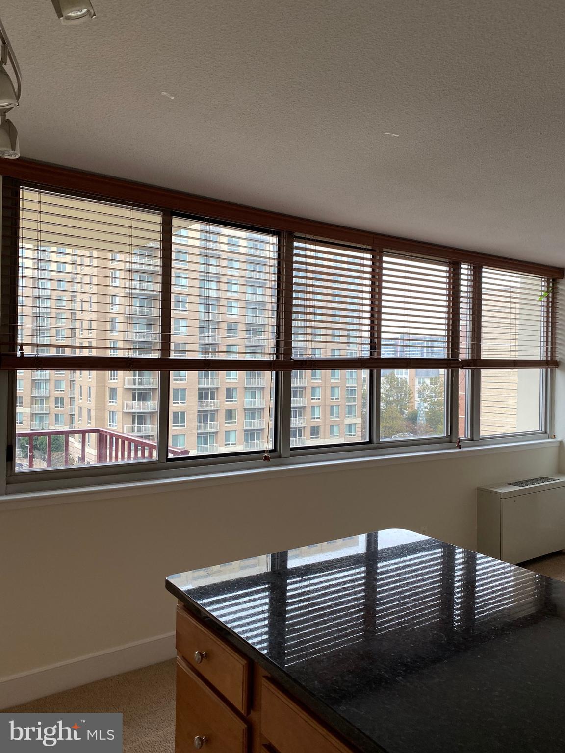 1220 Blair Mill Road, Unit 602 Silver Spring, MD 20910 - Photo 10 of 28 Wall of windows