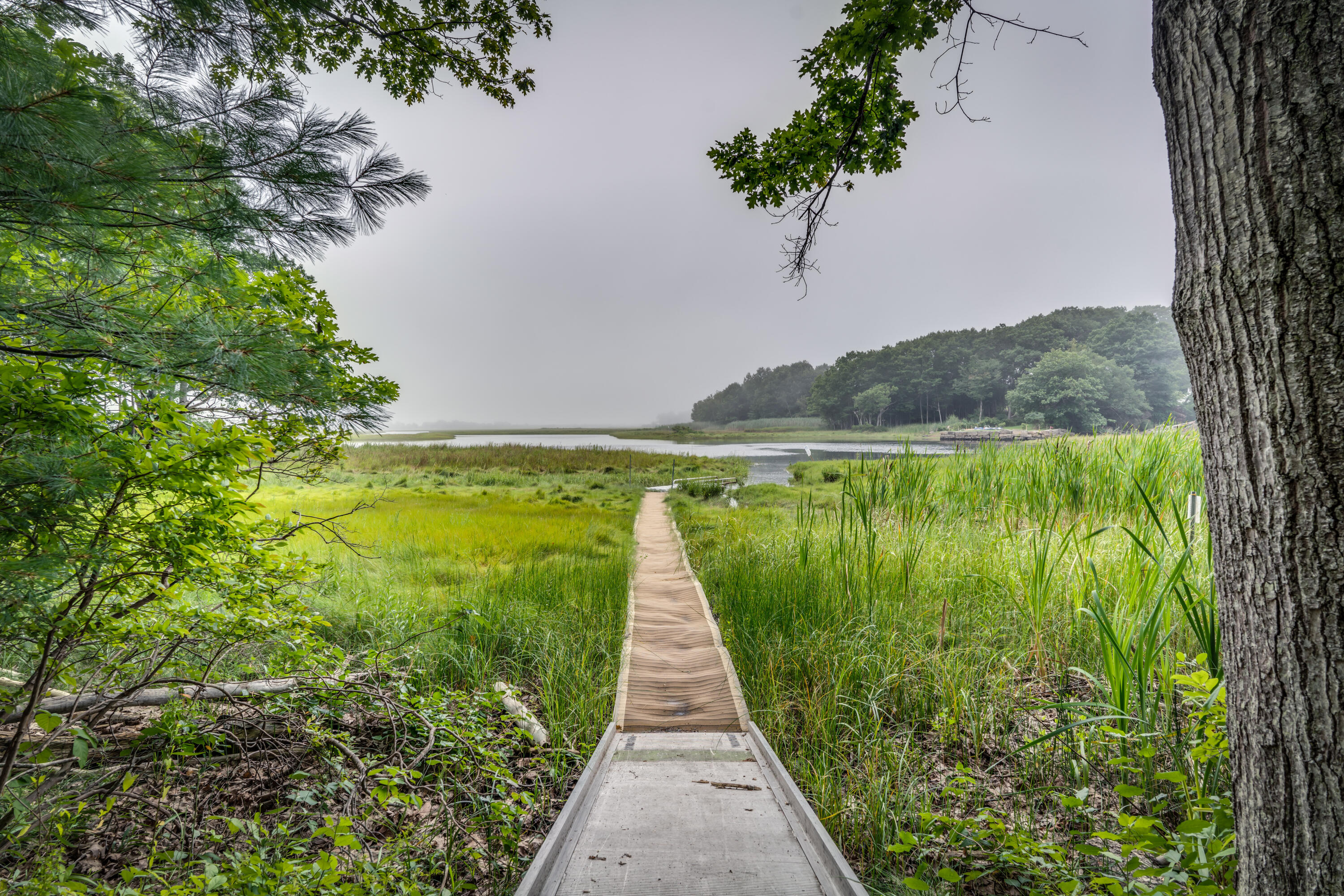45 Post Road, Unit 6 Wells, ME 04090 - Photo 23 of 23 DSC08577-HDR