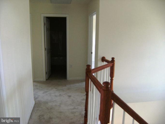783 Rivanna Run Falling Waters, WV 25419 - Photo 15 of 30 a view of a hallway with staircase