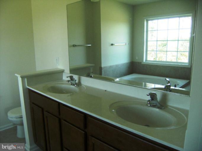 783 Rivanna Run Falling Waters, WV 25419 - Photo 6 of 30 a bathroom with a sink and a large mirror