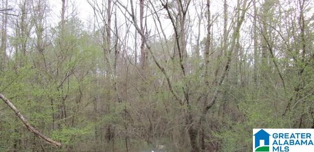0 Meredith Way Montevallo, AL 35115 - Photo 3 of 3
