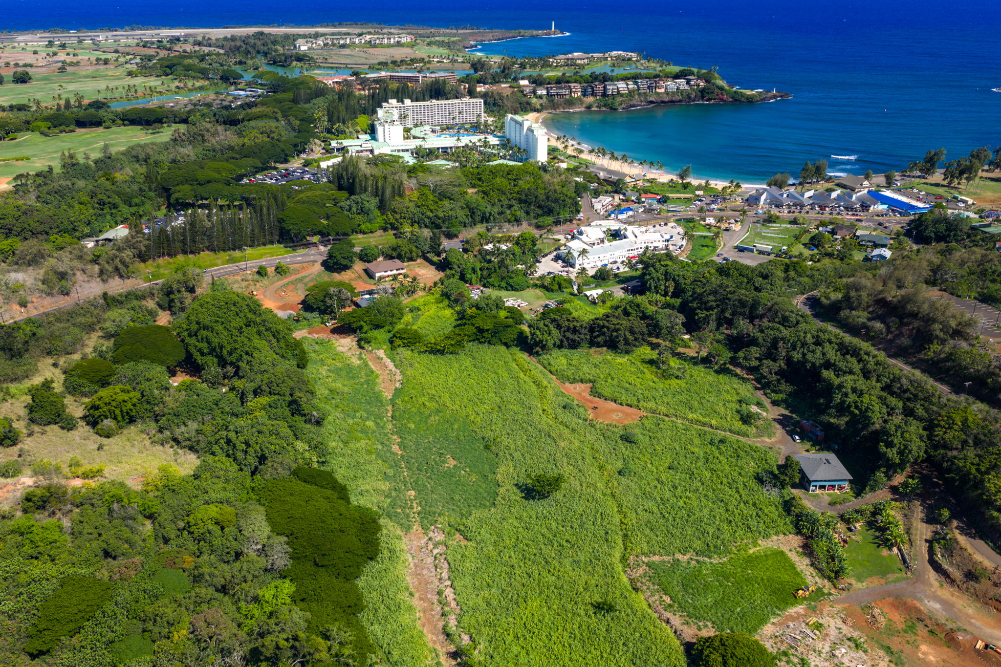 Rice Street, Unit 2 Lihue, HI 96766 - Photo 9 of 14