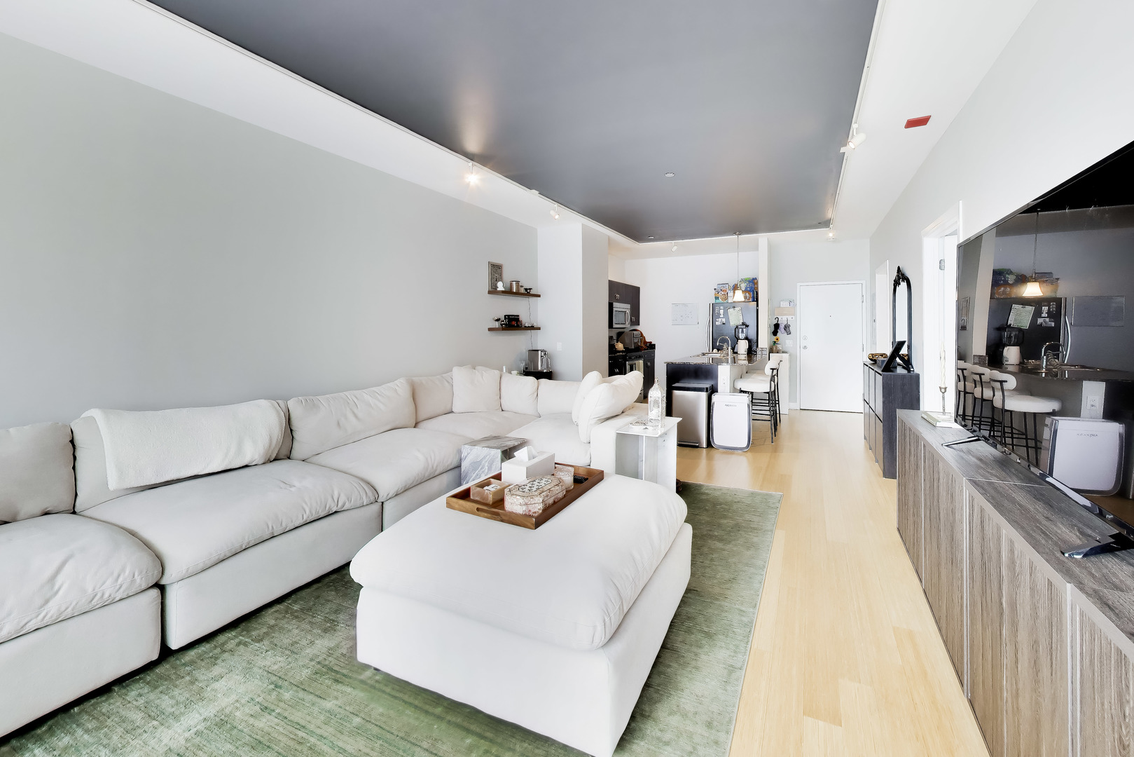 8 East Randolph Street, Unit 1602 Chicago, IL 60601 - Photo 8 of 35