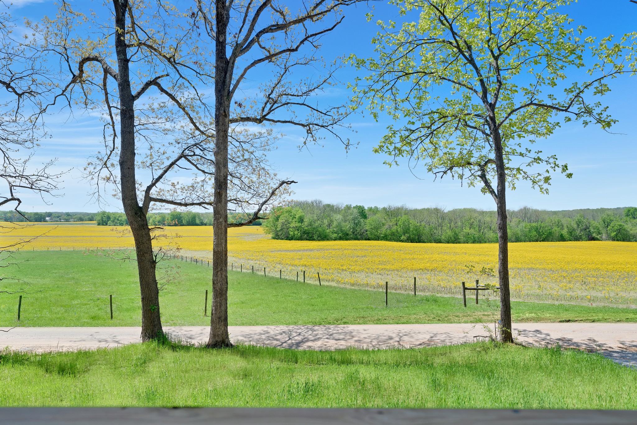 540 Quarry Road Auburn, KY 42206 - Photo 5 of 30 Gallery Image 5