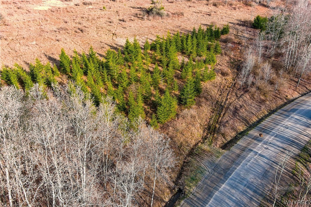 0 Quigg Hollow Road Andover, NY 14806 - Photo 8 of 19