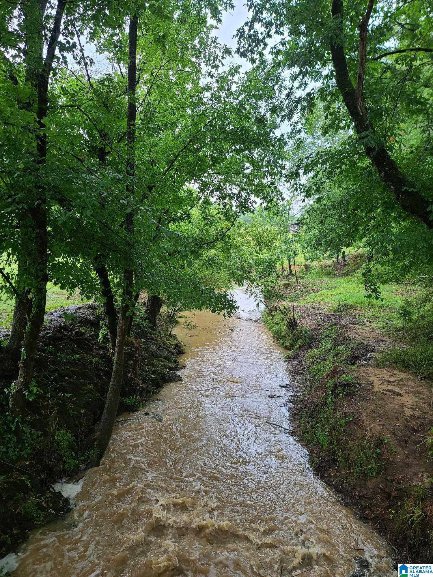 435 Lee Cutoff Road Pell City, AL 35125 - Photo 83 of 83