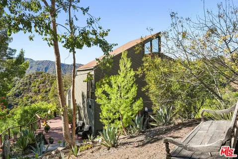 a view of a yard with plants